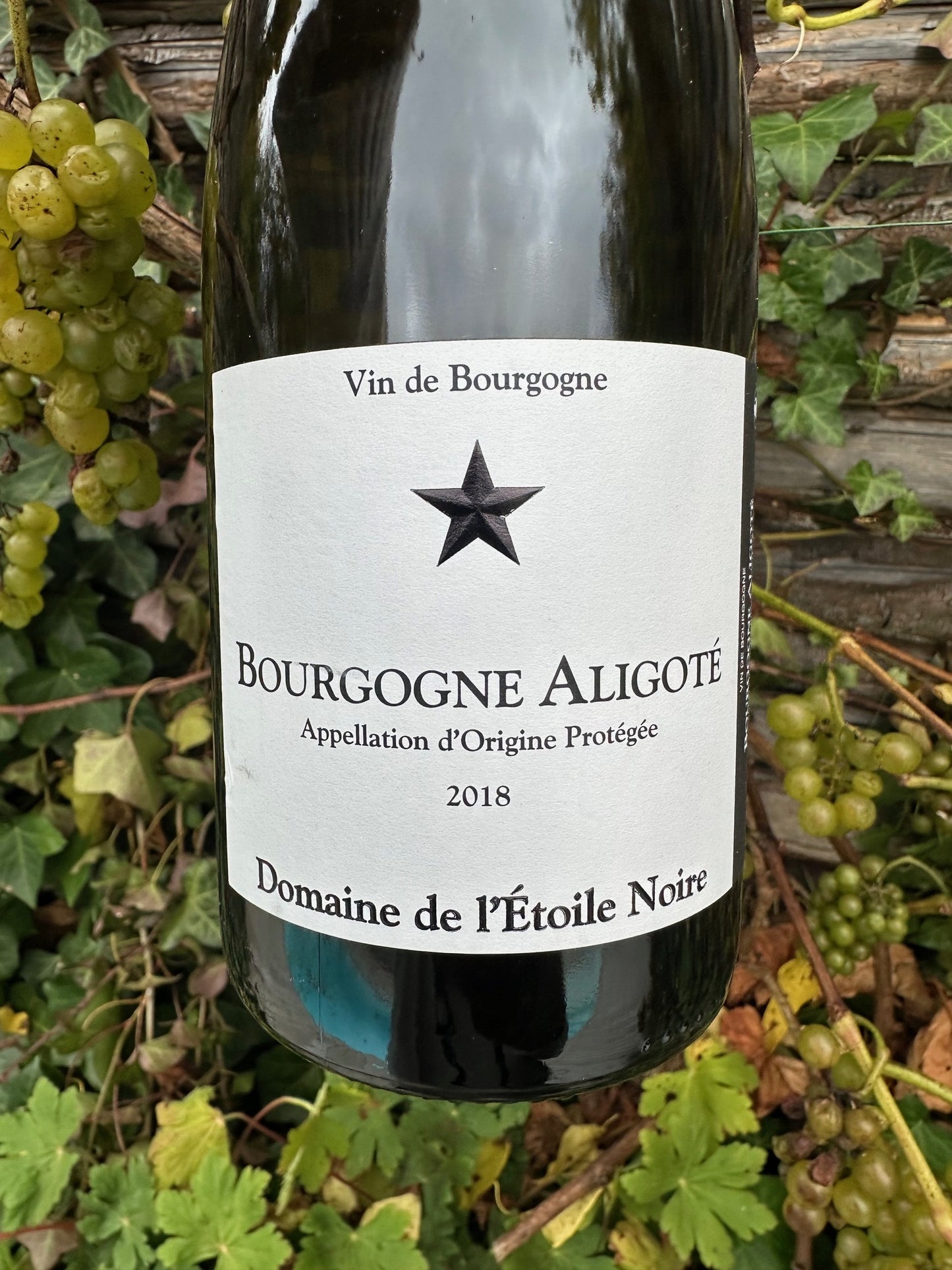 BOURGOGNE ALIGOTE 2018