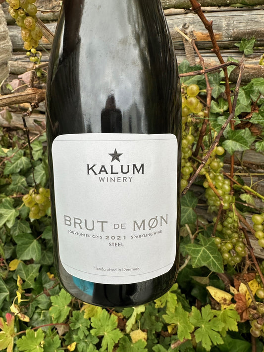 SOUVIGNIER GRIS 2021 – STEEL
